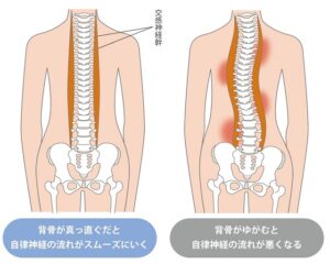 自律神経の流れが悪い場合といい場合の違い